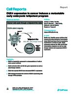 DUX4 expression in cancer induces a metastable early embryonic totipotent program