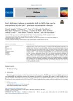 Rev1 deficiency induces a metabolic shift in MEFs that can be manipulated by the NAD plus precursor nicotinamide riboside