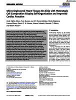 Micro-engineered heart tissues on-chip with heterotypic cell composition display self-organization and improved cardiac function