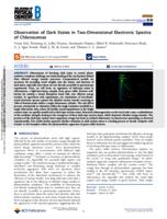 Observation of dark states in two-dimensional electronic spectra of chlorosomes