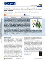Artificial carbonic Anhydrase-Ruthenium enzyme for photocatalytic water oxidation