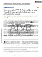 Virus-associated CD8+T-cells are not activated through antigen-mediated interaction inside atherosclerotic lesions