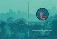 Detection of schistosome circulating antigens CCA and CAA