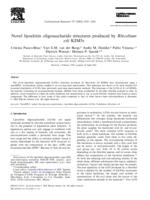 Novel lipochitin oligosaccharide structures produced by Rhizobium etli KIM5s