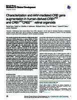 Characterization and AAV-mediated CRB gene augmentation in human-derived CRB1KO and CRB1KOCRB2+/- retinal organoids