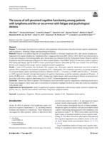 The course of self-perceived cognitive functioning among patients with lymphoma and the co-occurrence with fatigue and psychological distress