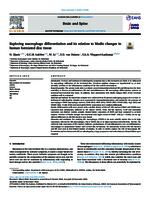 Exploring macrophage differentiation and its relation to Modic changes in human herniated disc tissue