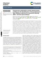 Fluorescence polarisation activity-based protein profiling for the identification of deoxynojirimycin-type inhibitors selective for lysosomal retaining alpha- and beta-glucosidases