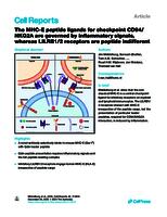 The MHC-E peptide ligands for checkpoint CD94/NKG2A are governed by inflammatory signals, whereas LILRB1/2 receptors are peptide indifferent