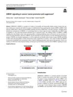 GREM1 signaling in cancer