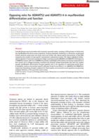 Opposing roles for ADAMTS2 and ADAMTS14 in myofibroblast differentiation and function