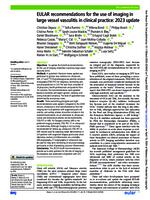 EULAR recommendations for the use of imaging in large vessel vasculitis in clinical practice