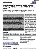 Micro-vessels-like 3D scaffolds for studying the proton radiobiology of glioblastoma-endothelial cells co-culture models