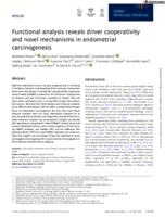 Functional analysis reveals driver cooperativity and novel mechanisms in endometrial carcinogenesis