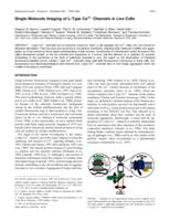 Single-molecule imaging of L-type Ca2+ channels in live cells