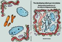The developing infant gut microbiota