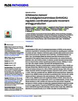 Schistosoma mansoni α-N-acetylgalactosaminidase (SmNAGAL) regulates coordinated parasite movement and egg production