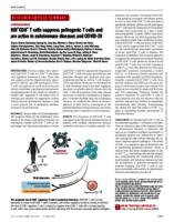 KIR+CD8+ T cells suppress pathogenic T cells and are active in autoimmune diseases and COVID-19