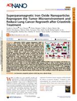Superparamagnetic iron oxide Nanoparticles reprogram the tumor microenvironment and reduce lung cancer regrowth after crizotinib treatment
