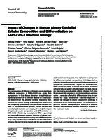 Impact of changes in human airway epithelial cellular composition and differentiation on SARS-CoV-2 infection biology