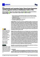 Temozolomide and lomustine induce tissue factor expression and procoagulant activity in glioblastoma cells in vitro