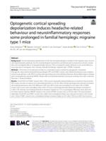Optogenetic cortical spreading depolarization induces headache-related behaviour and neuroinflammatory responses some prolonged in familial hemiplegic migraine type 1 mice