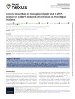 Genetic dissection of mutagenic repair and T-DNA capture at CRISPR-induced DNA breaks in Arabidopsis thaliana