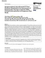 Intraprocedural, intra-arterial CT foot perfusion examination for assessment of endovascular therapy in patients with critical limb ischemia