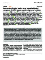 Functional and clinical studies reveal pathophysiological complexity of CLCN4-related neurodevelopmental condition