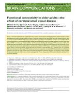 Functional connectivity in older adults-the effect of cerebral small vessel disease