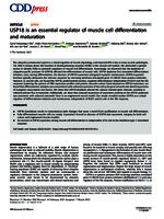 USP18 is an essential regulator of muscle cell differentiation and maturation