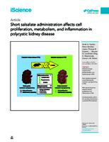 Short salsalate administration affects cell proliferation, metabolism, and inflammation in polycystic kidney disease