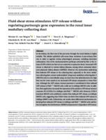 Fluid shear stress stimulates ATP release without regulating purinergic gene expression in the renal inner medullary collecting duct