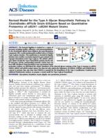 Revised model for the type A glycan biosynthetic pathway in Clostridioides difficile strain 630Δerm based on quantitative proteomics of cd0241-cd0244 mutant strains