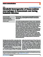 Metabolic heterogeneity of tissue-resident macrophages in homeostasis and during helminth infection