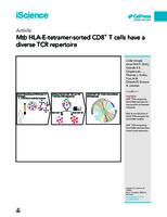 MtbHLA-E-tetramer-sorted CD8+ T cells have a diverse TCR repertoire