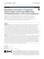 Metabolomic biomarkers of habitual B vitamin intakes unveil novel differentially methylated positions in the human epigenome