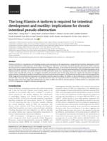 The long Filamin-A isoform is required for intestinal development and motility