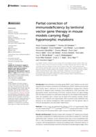 Partial correction of immunodeficiency by lentiviral vector gene therapy in mouse models carrying Rag1 hypomorphic mutations