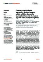 Glomerular endothelial glycocalyx-derived heparan sulfate inhibits glomerular leukocyte influx and attenuates experimental glomerulonephritis