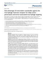 Size-advantage of monovalent nanobodies against the macrophage mannose receptor for deep tumor penetration and tumor-associated macrophage targeting