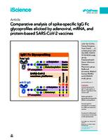 Comparative analysis of spike-specific IgG Fc glycoprofiles elicited by adenoviral, mRNA, and protein-based SARS-CoV-2 vaccines