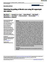 Mimicking fat grafting of fibrotic scars using 3D-organotypic skin cultures