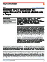 Enhanced surface colonisation and competition during bacterial adaptation to a fungus