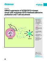 GRHL2 suppression of NT5E/CD73 in breast cancer cells modulates CD73-mediated adenosine production and T cell recruitment