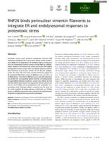 RNF26 binds perinuclear vimentin filaments to integrate ER and endolysosomal responses to proteotoxic stress