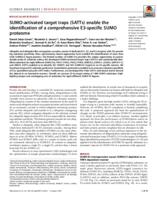 SUMO-activated target traps (SATTs) enable the identification of a comprehensive E3-specific SUMO proteome