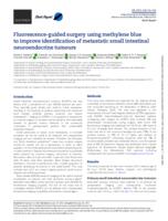 Fluorescence-guided surgery using methylene blue to improve identification of metastatic small intestinal neuroendocrine tumours