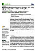 Near-infrared fluorescence imaging of pancreatic cancer using a fluorescently labeled anti-CEA nanobody probe