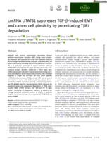 LncRNA LITATS1 suppresses TGF-β-induced EMT and cancer cell plasticity by potentiating TβRI degradation